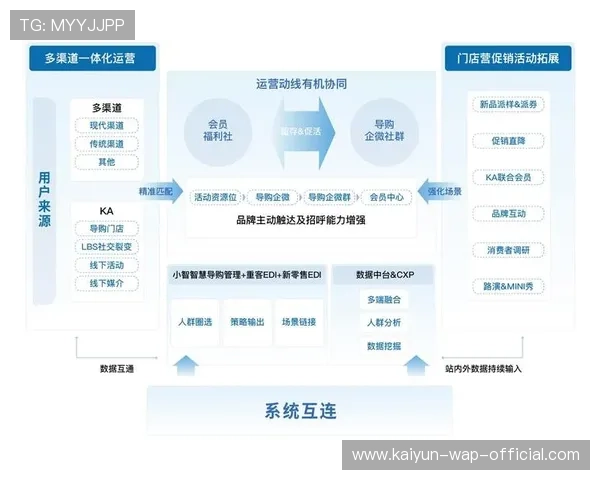 发展周期内粉丝忠诚度呈现梯度化特征 差异化运营成为管理必选项